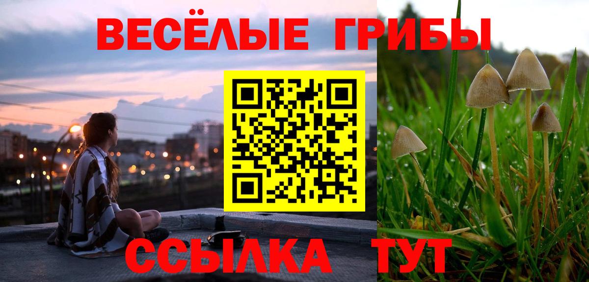 Псилоцибиновые грибы мицелий Ульяновск