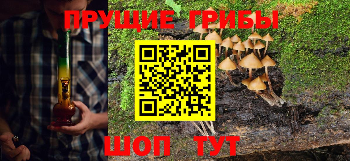 Псилоцибиновые грибы Magic Shrooms  Вход с VPN  Псилоцибиновые грибы прущие грибы  Ульяновск 